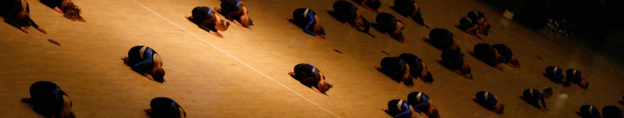 RgF TeamGym- Springholdet